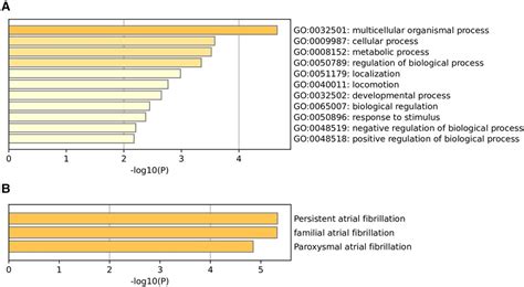 Frontiers Genome Wide Detection Of M A Associated Snps In Atrial