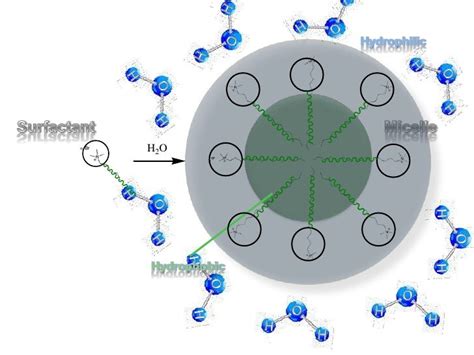 Micelle Formation