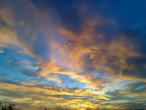 Playa Aves Amanecer Cielo Azul Nubes Cielo Azul Verano Piqsels