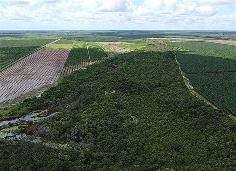 Perímetro Irrigado do DNOCS atua no desenvolvimento do Brasil