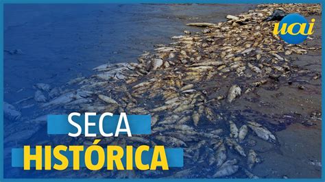 Seca No Amazonas Causa Morte De Botos E Peixes Youtube