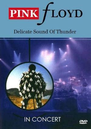 Pink Floyd In Concert Delicate Sound Of Thunder Reviews