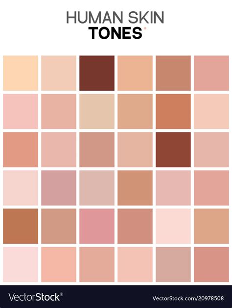 Skin tone color chart human skin texture color Vector Image