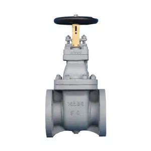 Fc K Jis F Marine Cast Iron Jis Bronze Gate Valve For Sea Water