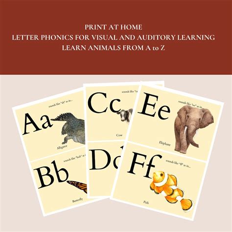 Kids Animal Alphabet Flashcards - Etsy