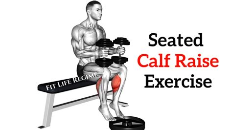 12 Best Smith Machine Leg Exercises With Workout Routines