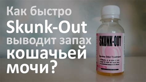 Как эффективно и безопасно убрать следы кошачьей мочи с пола? >> Умная ...