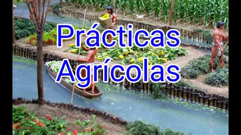 Pr Cticas Agr Colas Y Herbolaria En Mesoam Rica Historia Youtube