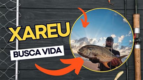 PESCA XAREU EM BUSCA VIDA YouTube