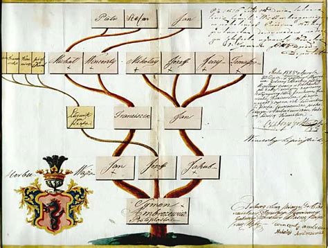 Образцы типовых архивных документов - Генеалогическая таблица