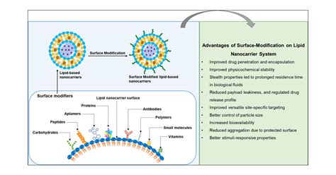 Surface Modification Of Lipid Based Nanocarriers A Potential Approach