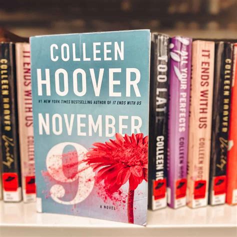 Colleen Hoover's November 9: Summary (With Ending)