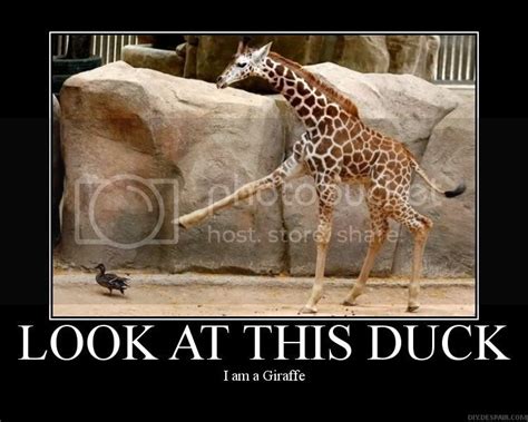 FARK.com: (4892082) Ugly-ass baby giraffe born at Niabi Zoo