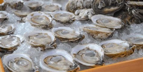 Enjoying Oysters This Holiday Season Chesapeake Bay Foundation