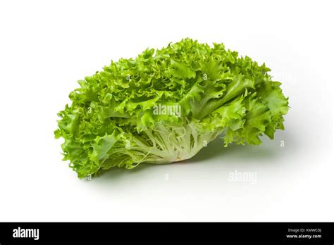 Fresh Lollo bionda lettuce isolated on white background Stock Photo - Alamy