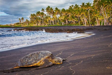 Big Island Beaches