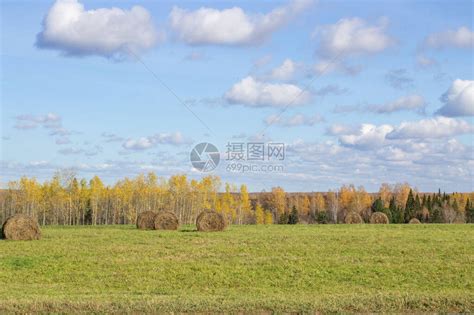 秋天在田里的干草捆与天空和云彩的农业领域农场的农村质草地上的稻草乡村自然景观五高清图片下载 正版图片506744878 摄图网