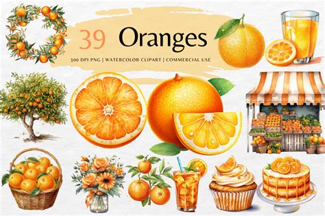 Oranges Watercolor Clip Art Bundle Graphic By Y Watercolor Studio