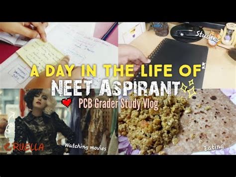 A Day In The Life Of Pcb Graderneet Aspirant Study Vlogstudy With