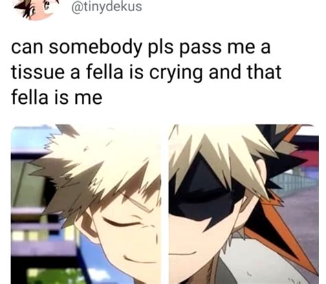 BNHA Memes My Hero Academia Memes My Hero Academia Boku No Hero