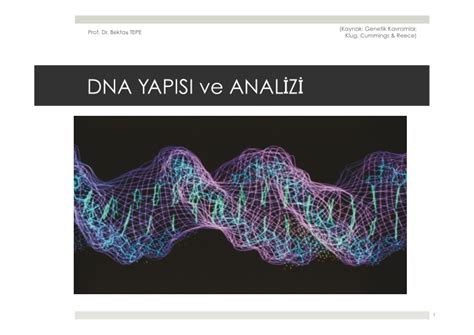 PPT DNA YAPISI Ve ANAL Z 1 Kaynak Genetik Kavramlar Prof Dr PowerPoint Presentation