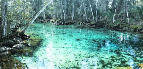 Best Places For Snorkeling In Florida That You Must Visit Beeloved