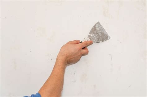 Signs Of Termites In Drywall And How To Repair It Effectively