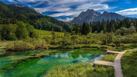 Lake And Forest In Zelenci Springs Nature Reserve Kranjska Gora Upper