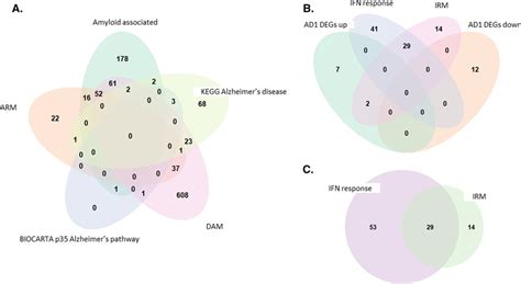 Overlapping Leading Edge Genes For The Female Enriched Alzheimers