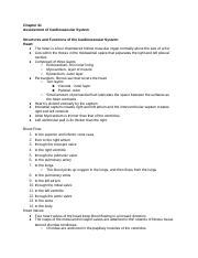 Chapter Assessment Of Cardiovascular System Docx Chapter