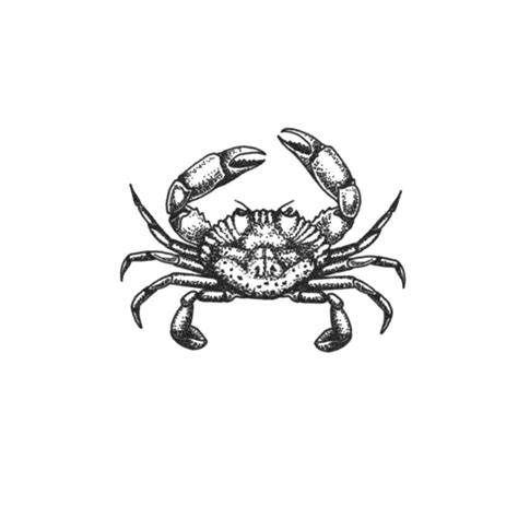 Crab Cancer Tattoo Realistic Temporary Tattoos Tattooicon