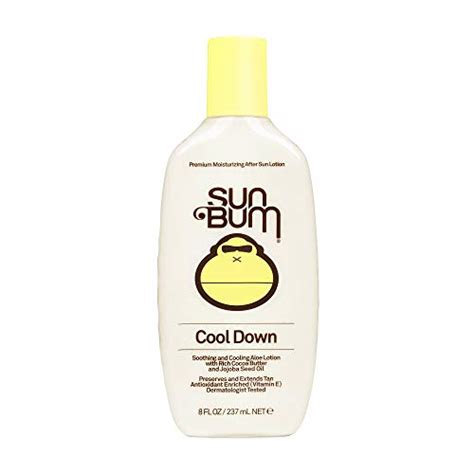 Top 10 Best Lotion For Sunburn Reviewed And Rated In 2021 Mostraturisme