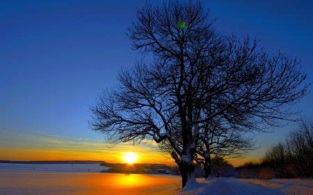 WINTER SUNRISE - Winter Wallpaper ID 1275737 - Desktop Nexus Nature | Foto, Fotografía