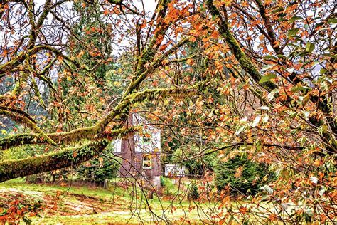 The Old Homestead 2 Photograph By Jack Andreasen Fine Art America