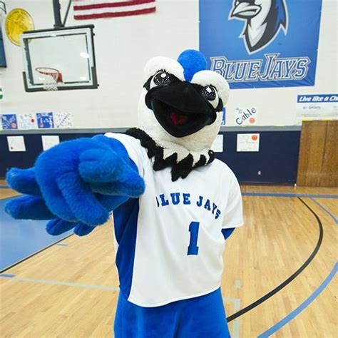 The Blue Jay | Mascot Hall of Fame