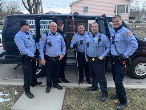 Wandering Pig Rescued In Joliet By Police Officers | Joliet, IL Patch