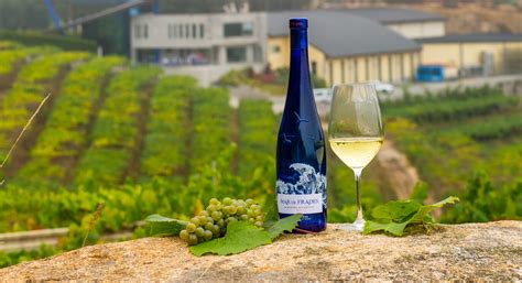 Как винодельни помогают планете: пример Mar de Frades - fortwine.ru
