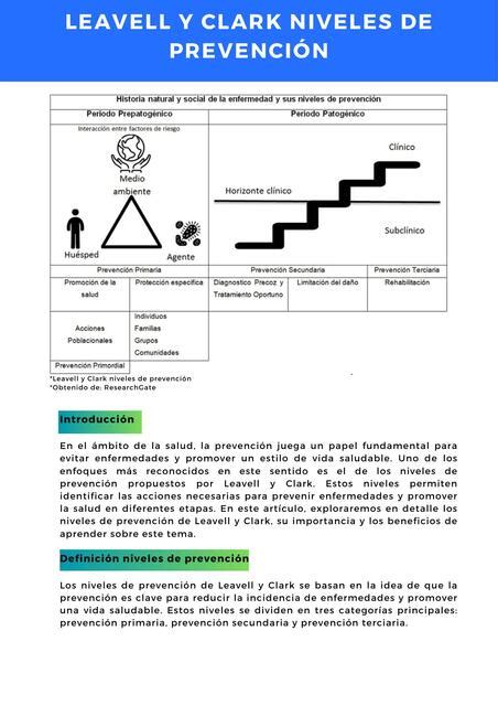 Leavell y Clark niveles de prevención Facilitando tu estudio uDocz