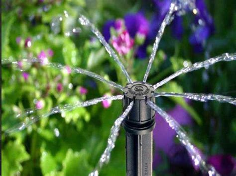 Micro Irrigation – Purity Landscaping