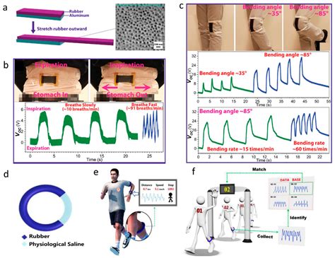 Recent Progress In Self Powered Skin Sensors Encyclopedia