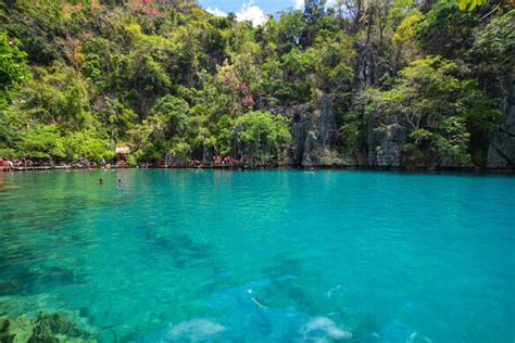 Barracuda Lake – Coron, Philippines - Atlas Obscura