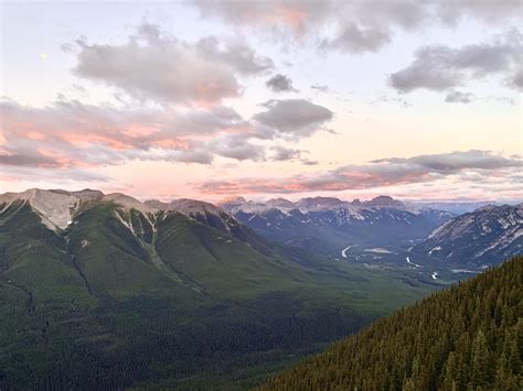 Banff S Sulphur Mountain Hike Everything You Need To Know The