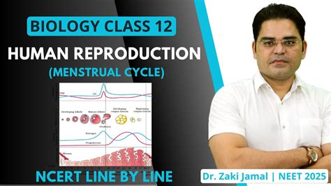 Human Reproduction I Menstrual Cycle I NEET 2025 Class 12th I Dr