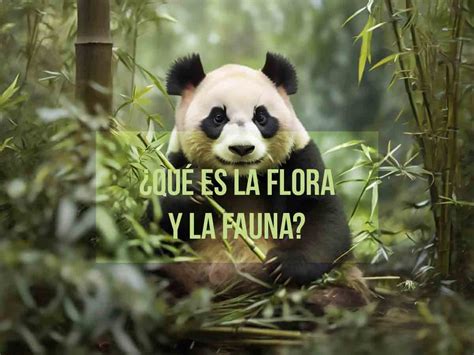 Qué es la flora y fauna Definición tipos y ejemplos