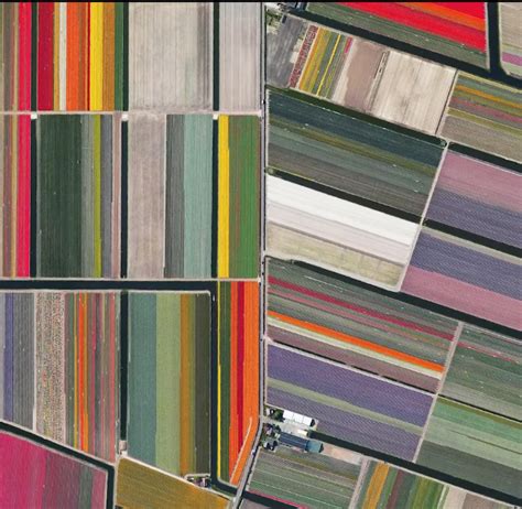 Drone View of Tulips Farm in Holland.. : r/drones