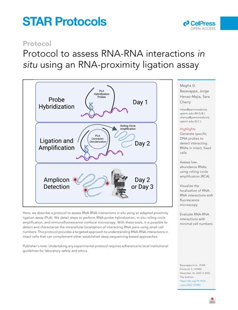 Pdf Protocol To Assess Rna Rna Interactions In Situ Using An Rna Proximity Ligation Assay