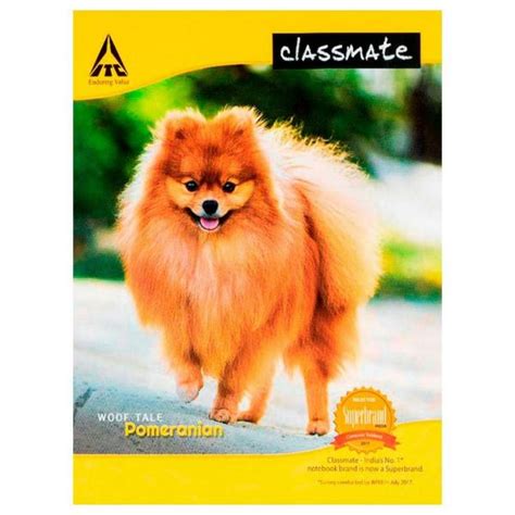 Classmate Single Line Soft Long Notebook 172 Pgs Jiomart