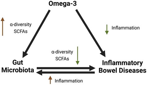 Omega 3 Can Directly And Indirectly Play A Role In IBD Increasing