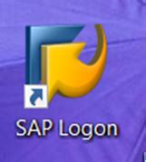 SAP Logon and SAP GUI - amarmn.com