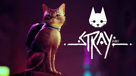 Stray es un juego que simula cómo es ser un gato [Trailer] | Teknófilo